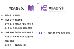 插抽不用播放器非评估类项目发展历程